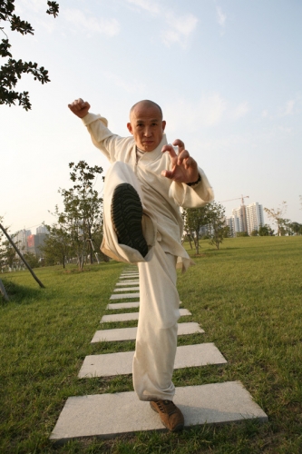 Hefei Dragon Fight 333x500 C